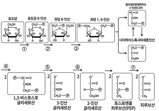 선명하게 복원된 과학 그림