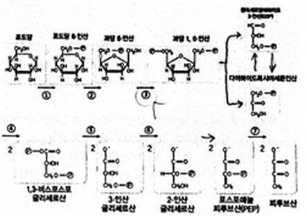 흐리고 깨진 과학 그림 원본