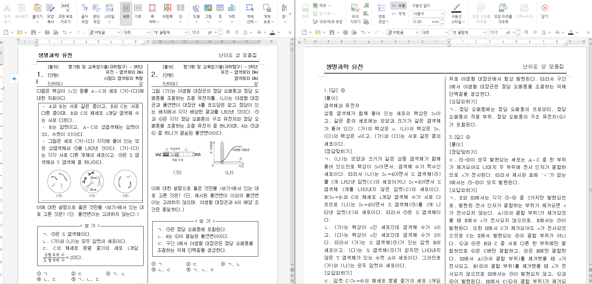 선택한 문제를 HWPX로 출력하는 화면